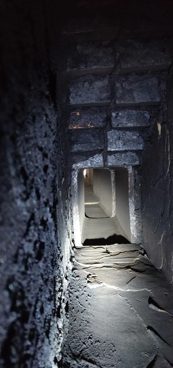Chimney Sweep work photo