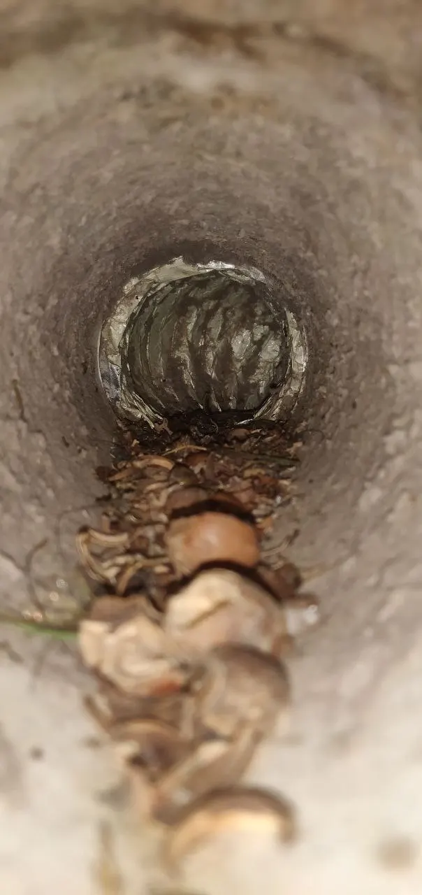 Dryer vent duct interior